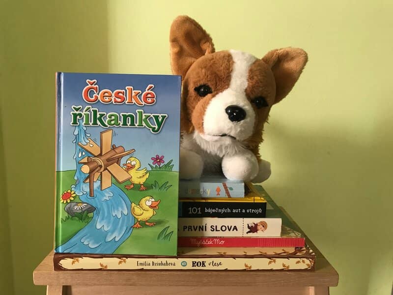 Dětská kniha