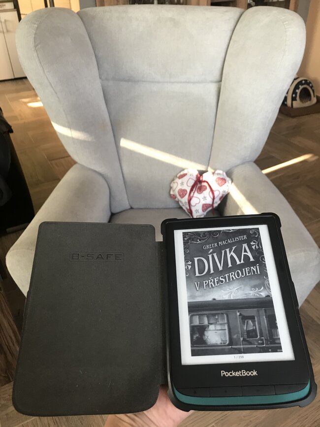 ebook-dívka v přestrojení